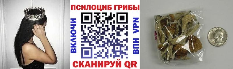 Псилоцибиновые грибы ЛСД  hydra зеркало  Ясный 